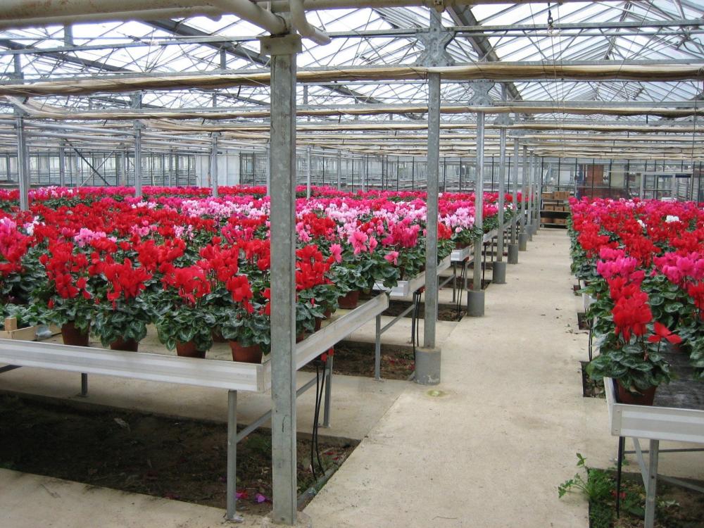 horticulture